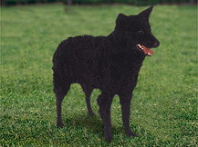 Муди (Венгрия)